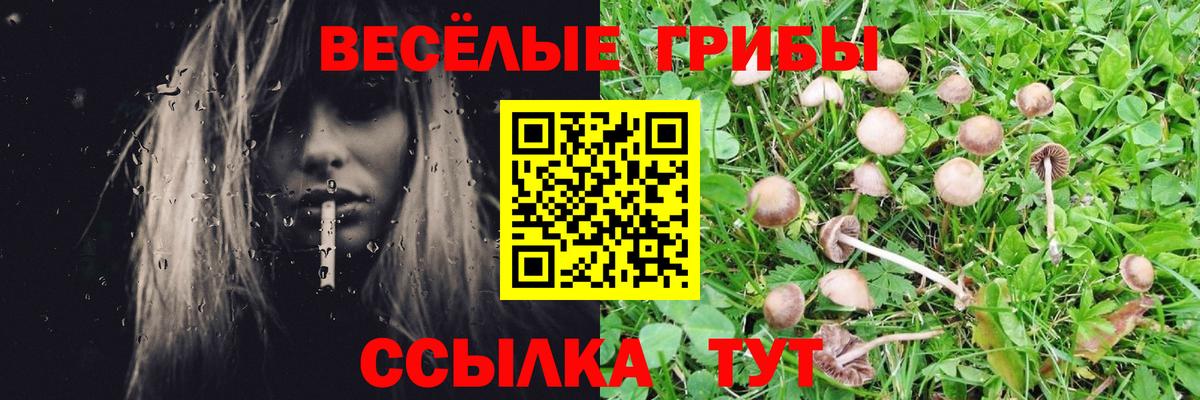 Псилоцибиновые грибы мицелий  Галлюциногенные грибы ЛСД  Карпинск  Вход с VPN 